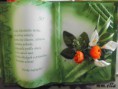 /album/gratulacne-knihy/cimg0559-jpg/
